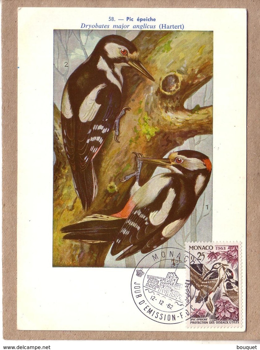 MONACO - CARTE FDC - OISEAUX - INSTITUT ROYAL DES SCIENCES NATURELLES DE  BELGIQUE - 58 - PIC EPEICHE - 1962 - Spechten En Klimvogels