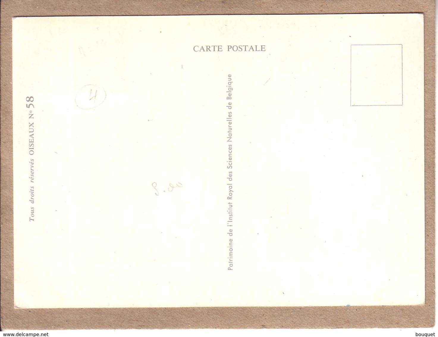 MONACO - CARTE FDC - OISEAUX - INSTITUT ROYAL DES SCIENCES NATURELLES DE  BELGIQUE - 58 - PIC EPEICHE - 1962 - Picchio & Uccelli Scalatori