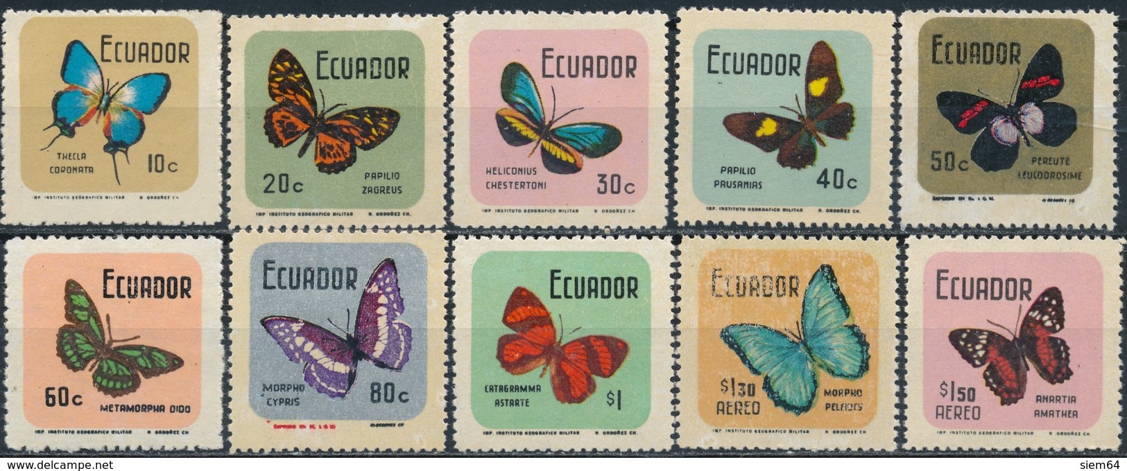 Ecuador  Butterflies - Mariposas