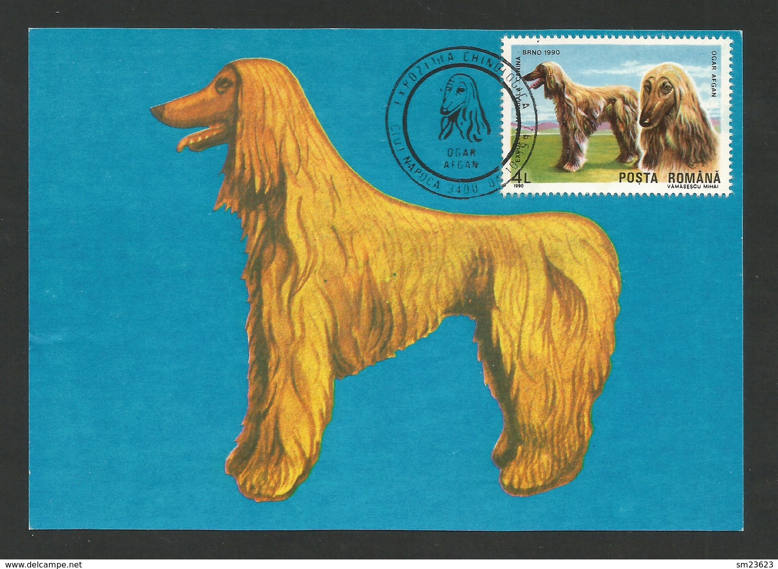 Romana  1990 , Ogar Afgan , Maximum Card - Napoca 04.10.1992 - Dogs