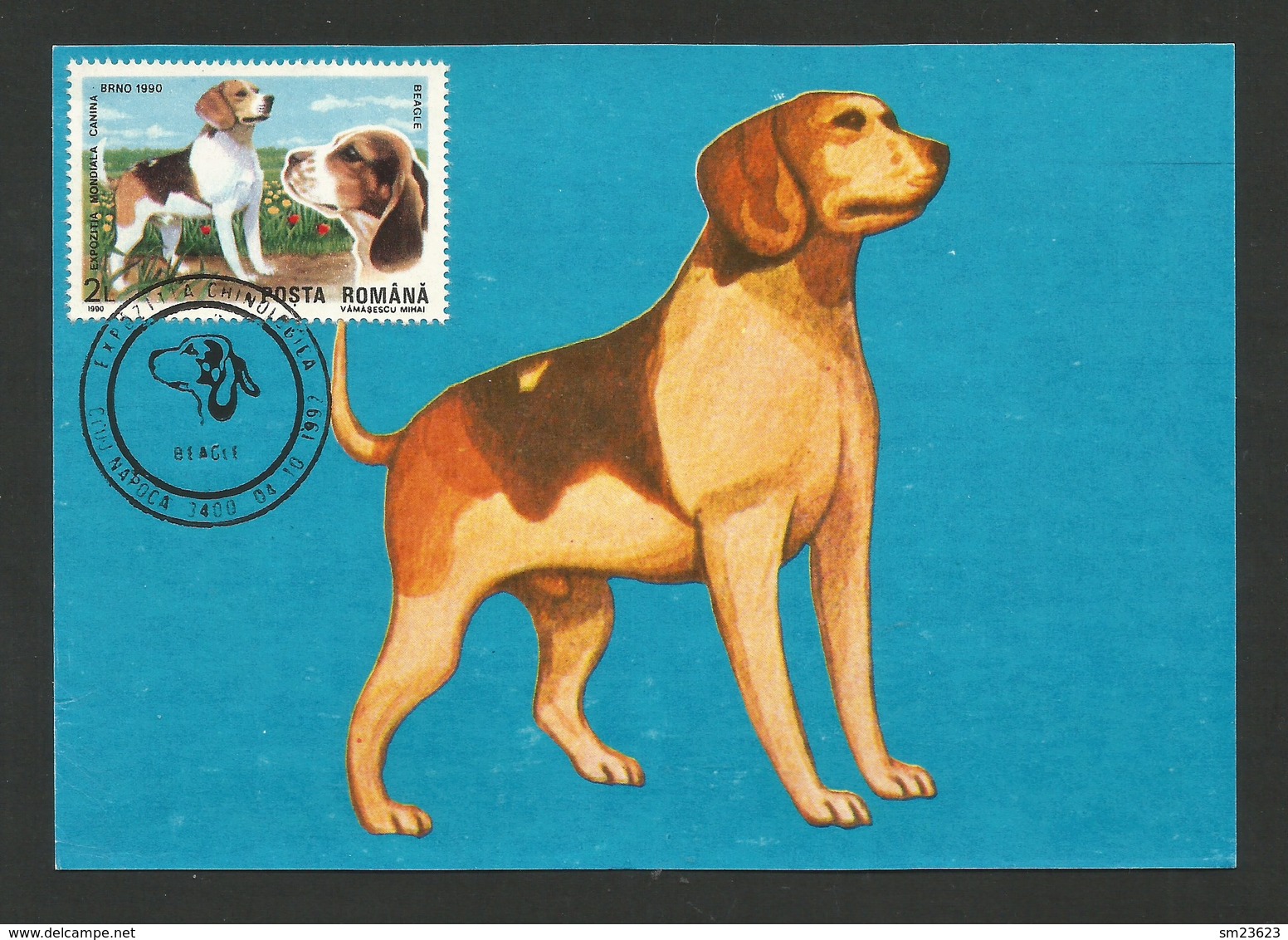 Romana  1990 , Beagle , Maximum Card - Napoca 04.10.1992 - Dogs