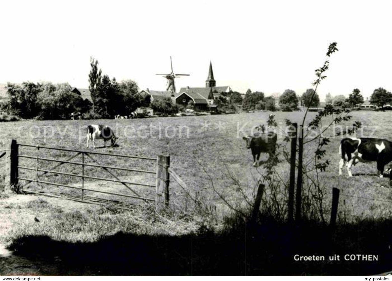 72700692 Cothen Teilansicht Muehle Kirche Cothen - Autres & Non Classés