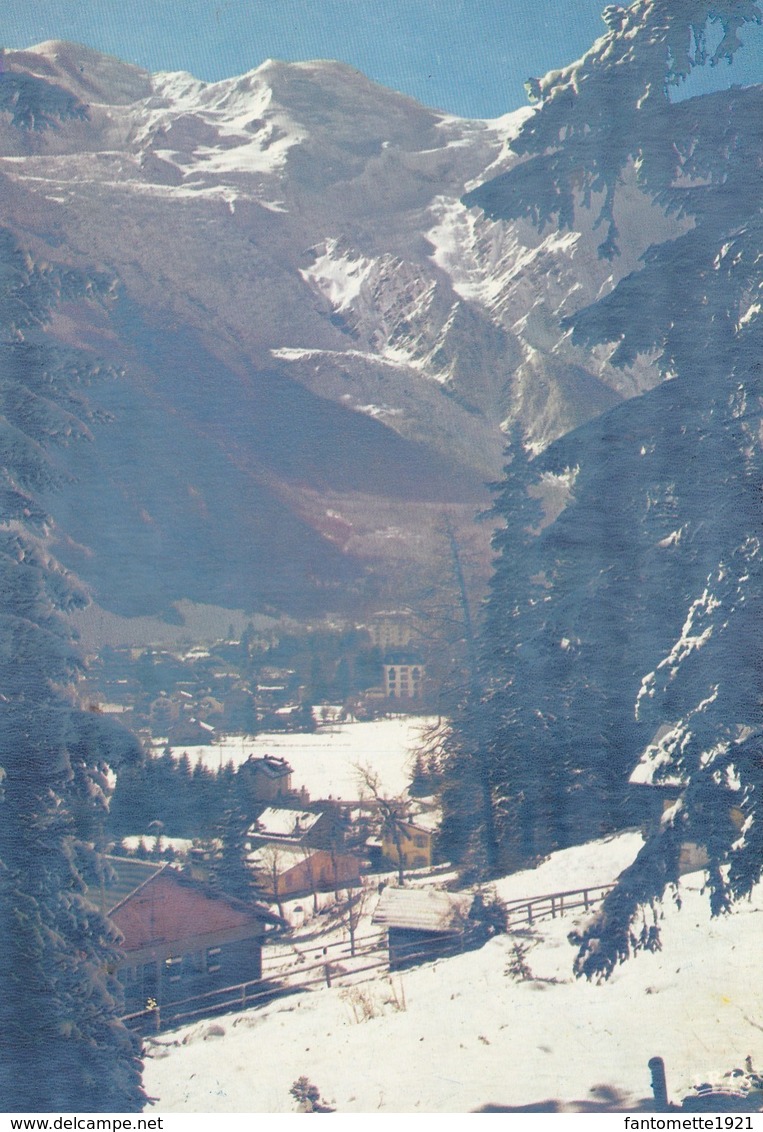 CHAMONIX VUE GENERALE (dil363) - Chamonix-Mont-Blanc