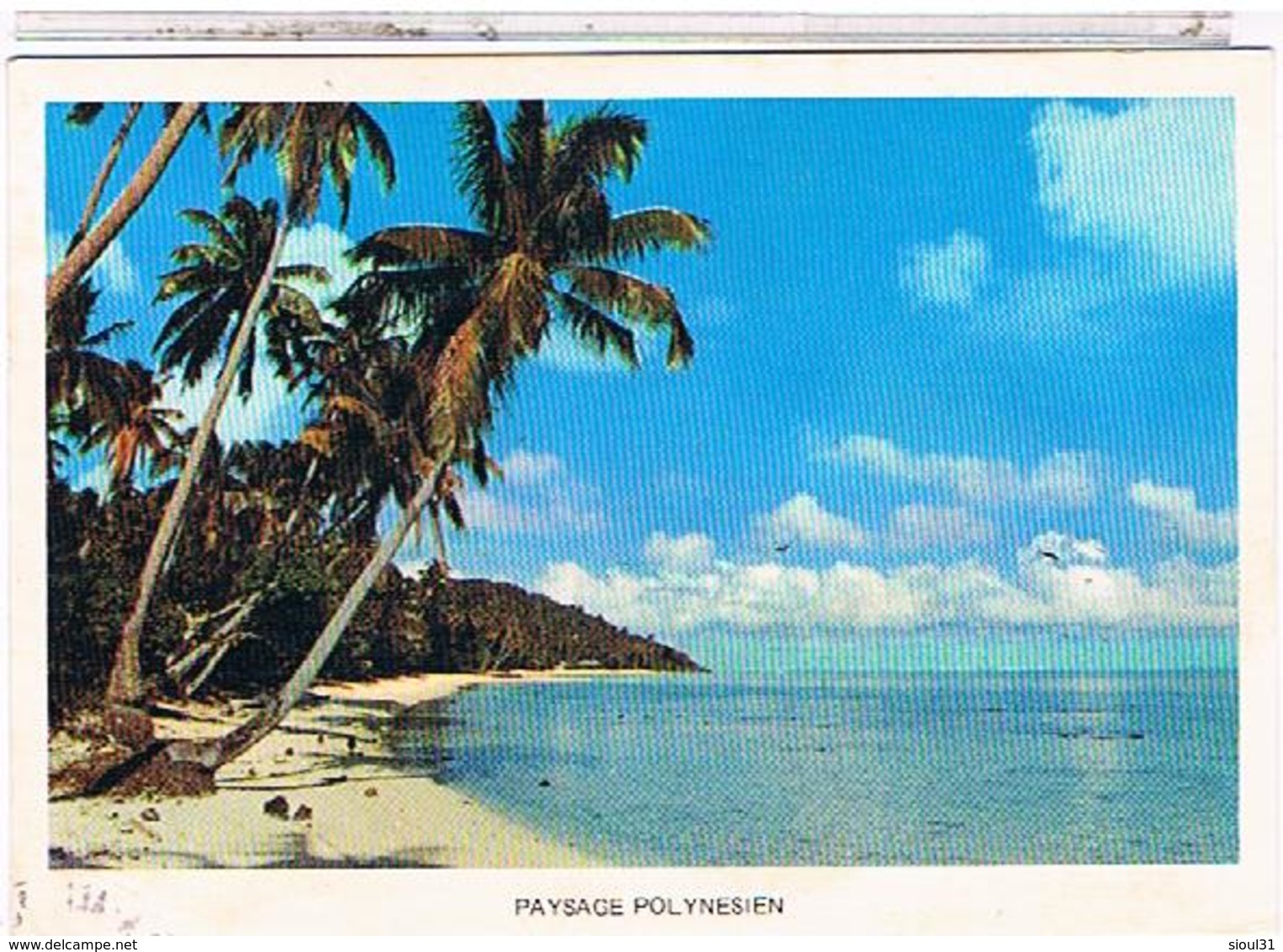 PAYSAGE  POLYNESIEN  1978   CPM  TBE - Polynésie Française