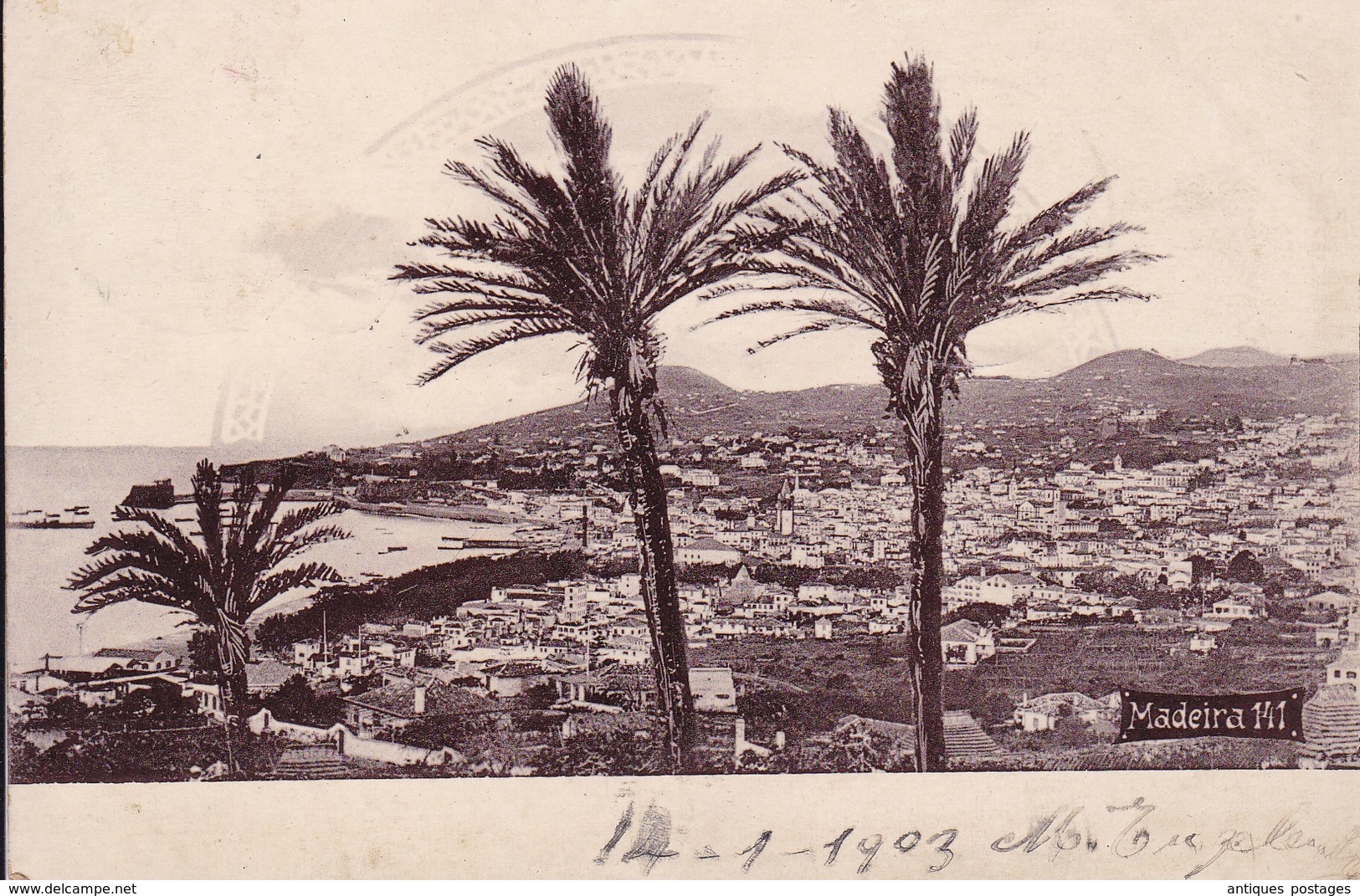 Carte Postale 1903 Madère Madeira Lisboa Lisbonne Funchal - Lettres & Documents