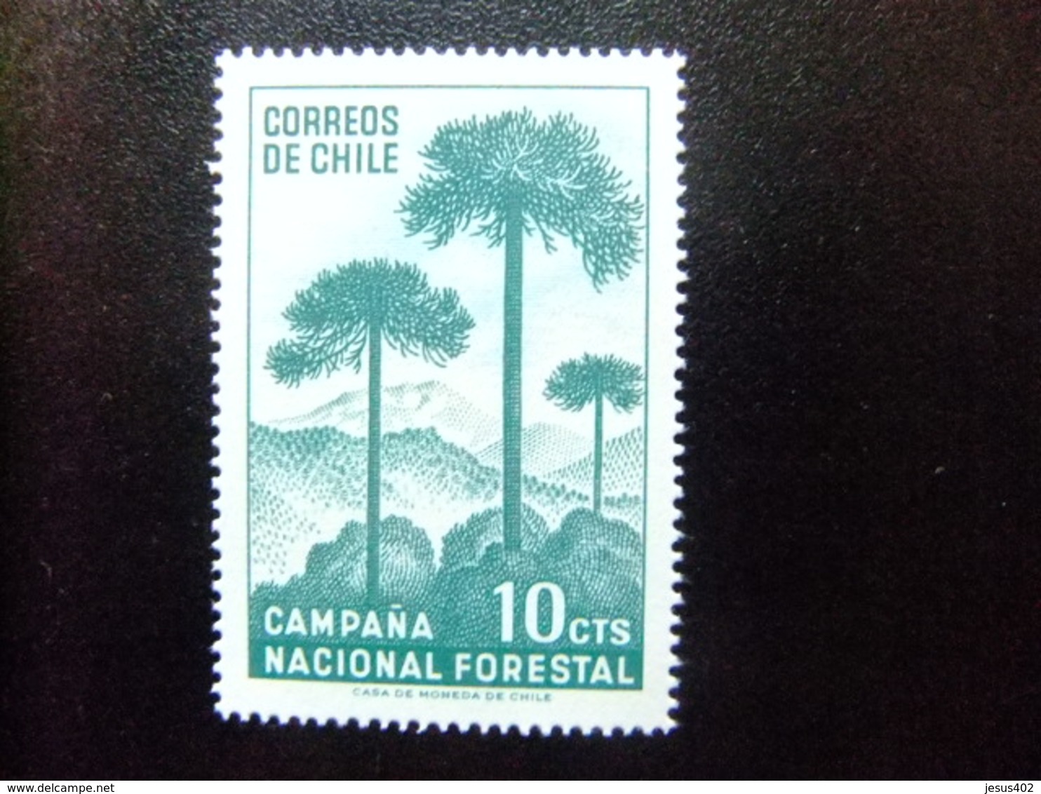 CHILE 1967 Arboles Andinos ARAUCARIA Yvert 319 ** MNH - Chile