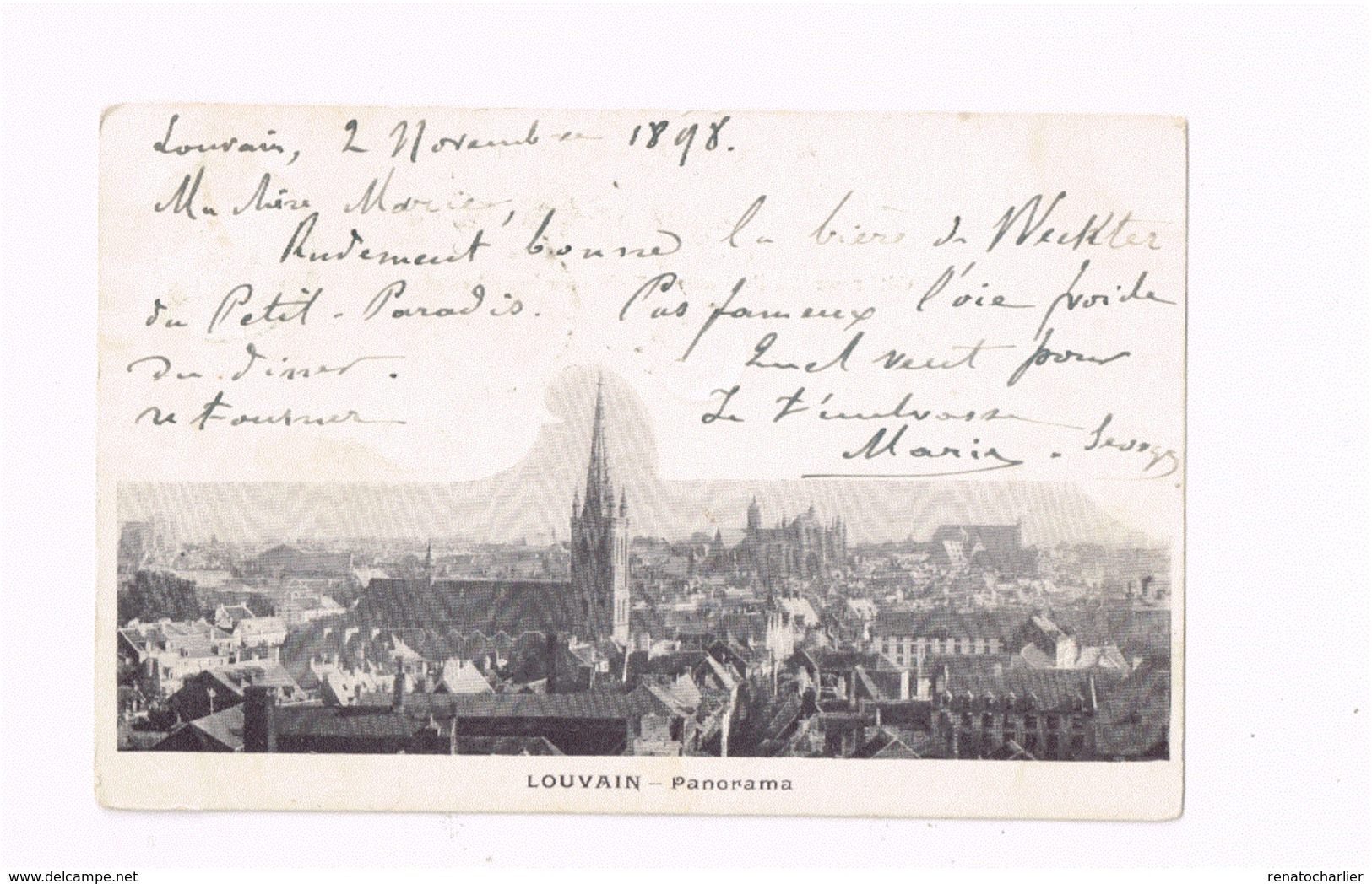 Panorama. Expédié De Louvain à Bruxelles. - Leuven