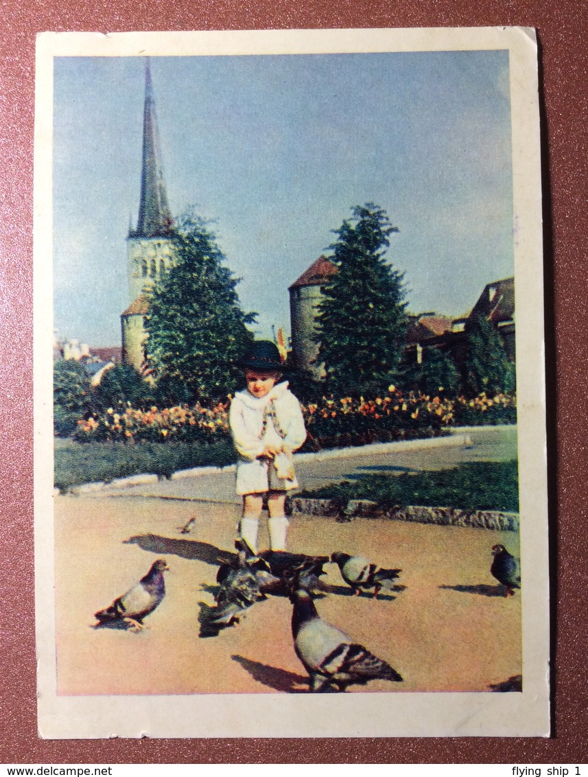 Vintage Russian Photo Postcard 1956 Soviet Estonia Tallinn Boulevard Ethnic Dressed Boy Feeding Pigeons Dove - Estonia