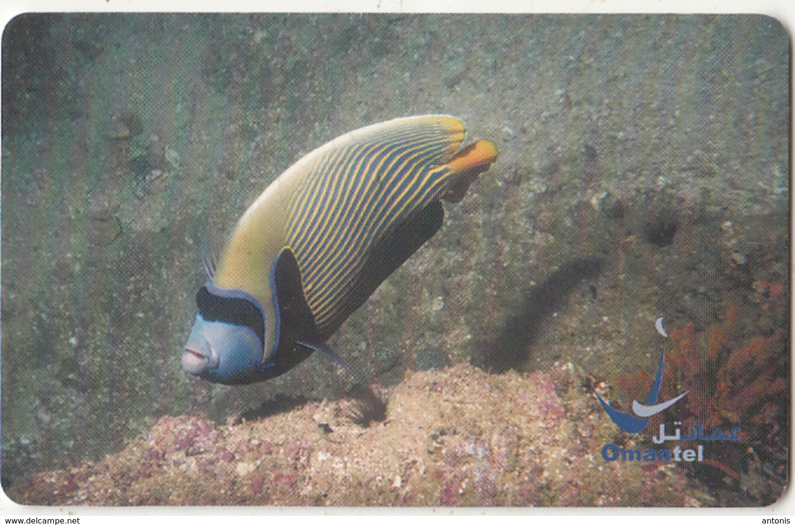 OMAN(chip) - Fish, Emperor Angelfish, Chip GEM3.1, 11/03, Used - Oman
