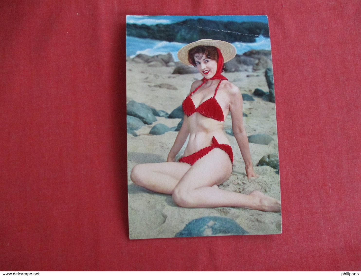 Pin Up  Embroidered------ Bathing Suit  Made In Spain Top Crease  Ref 2934 - Pin-Ups