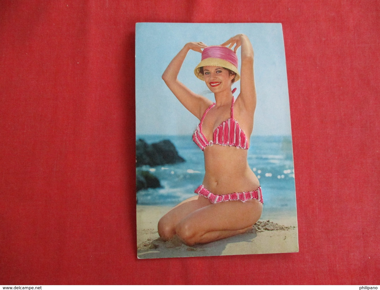 Pin Up  Embroidered---- Bathing Suit  Made In Spain Top Crease  Ref 2934 - Pin-Ups