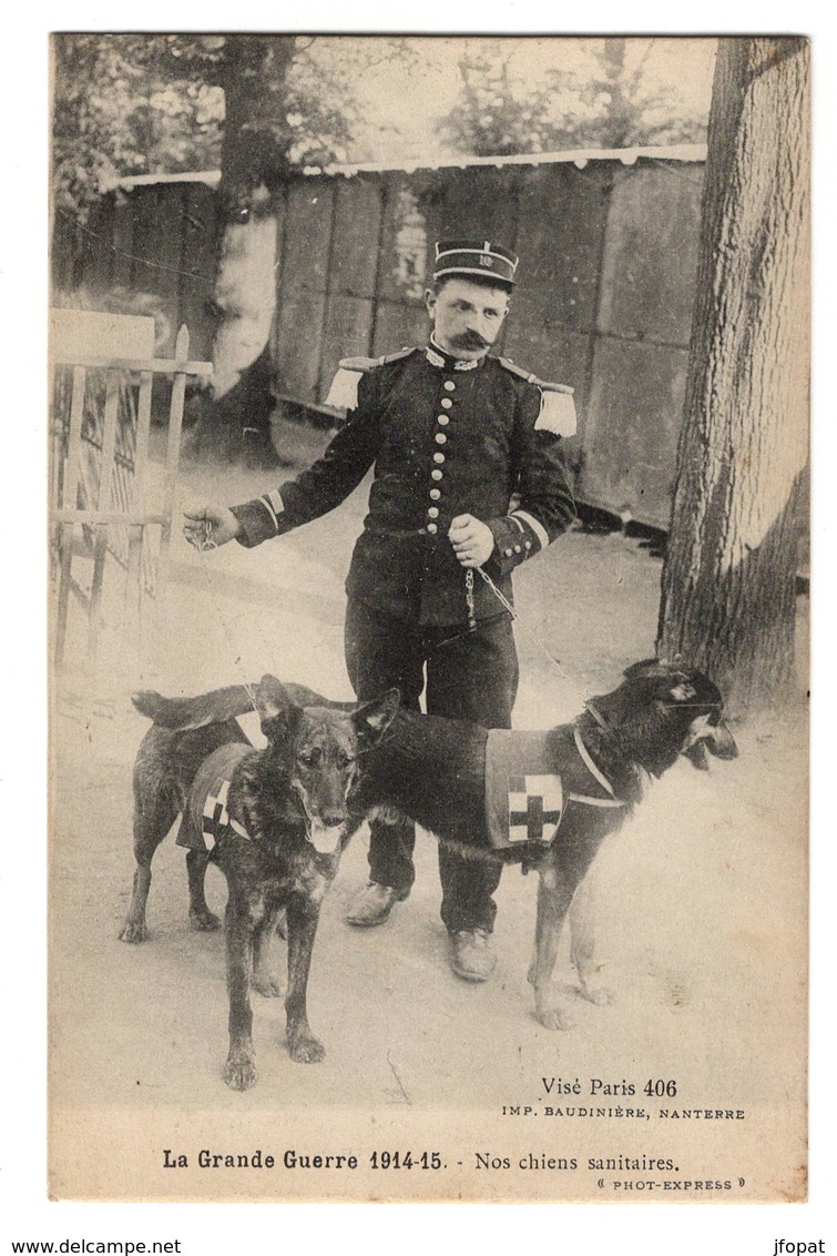 MILITARIA - Nos Chiens Sanitaires - Oorlog 1914-18