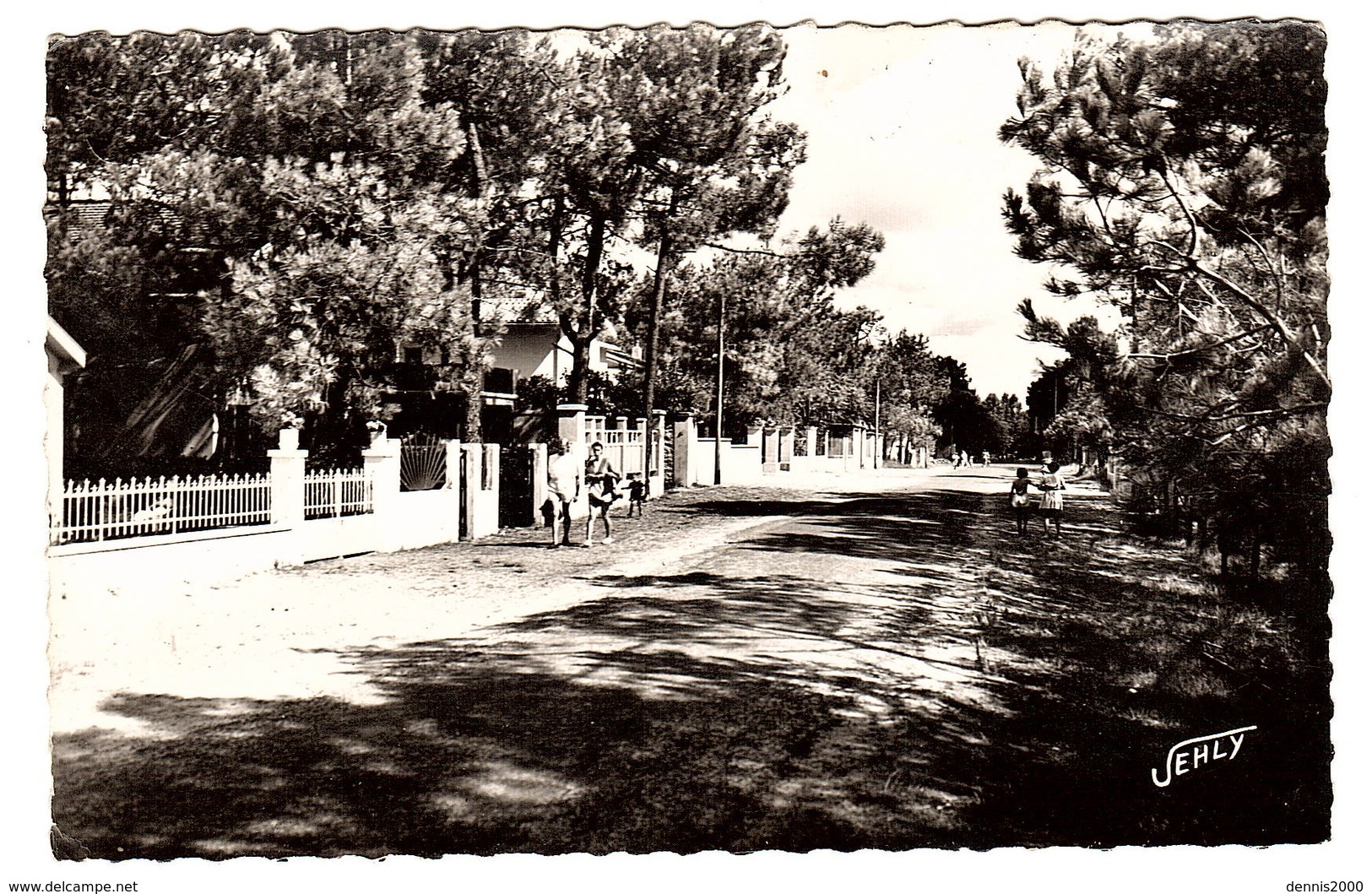 LA TRANCHE SUR MER (85) - LA GRIÈRE - Avenue Forestière - Ed. JEHLY-POUPIN - La Tranche Sur Mer