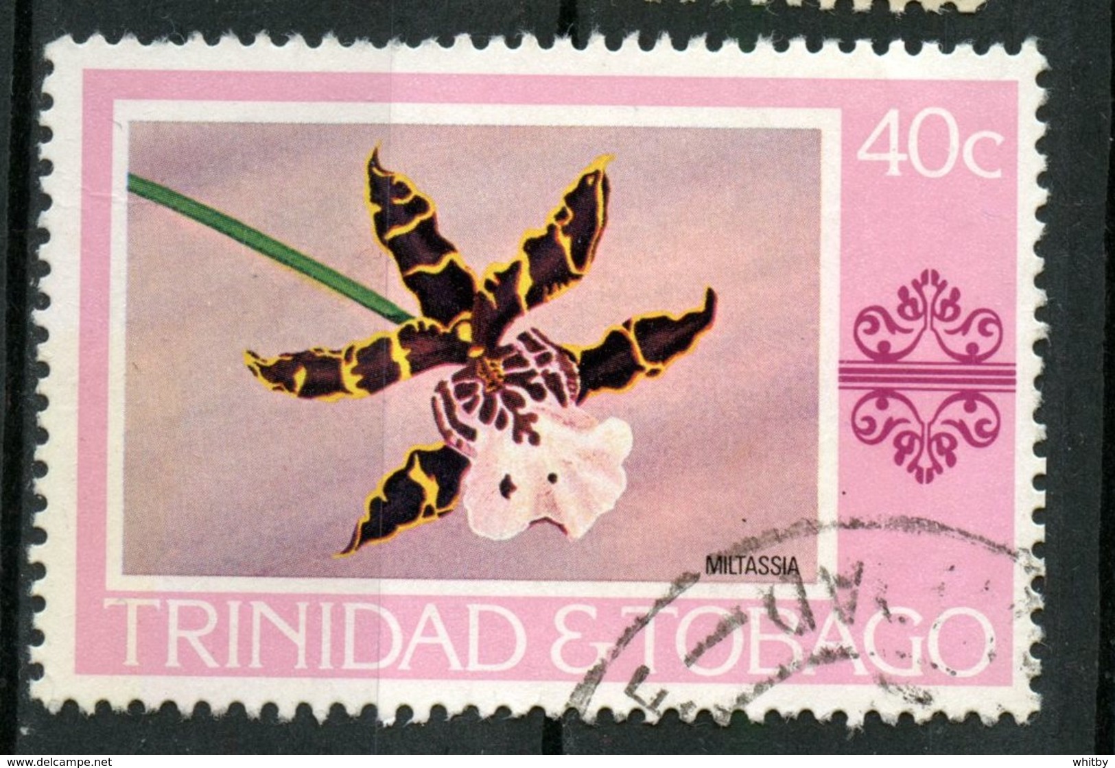 Trinidad And Tobago 1978 40c  Miltassia Issue #286  Stamp Is Used - Trinidad & Tobago (1962-...)