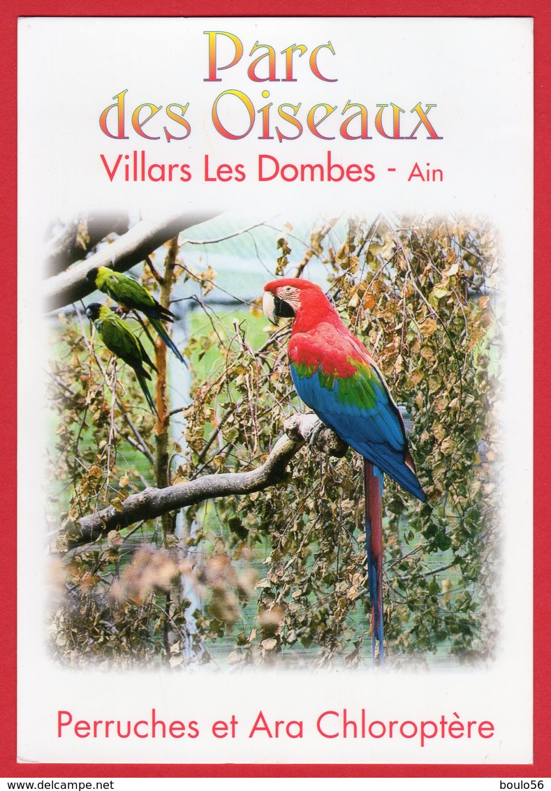 CPM.(01-AIN)-Parc-ORNITHOLOGIQUE Dépârtemental-Villars Les Dombes.  "ARA Chloroptérte"."Perruches" - Villars-les-Dombes