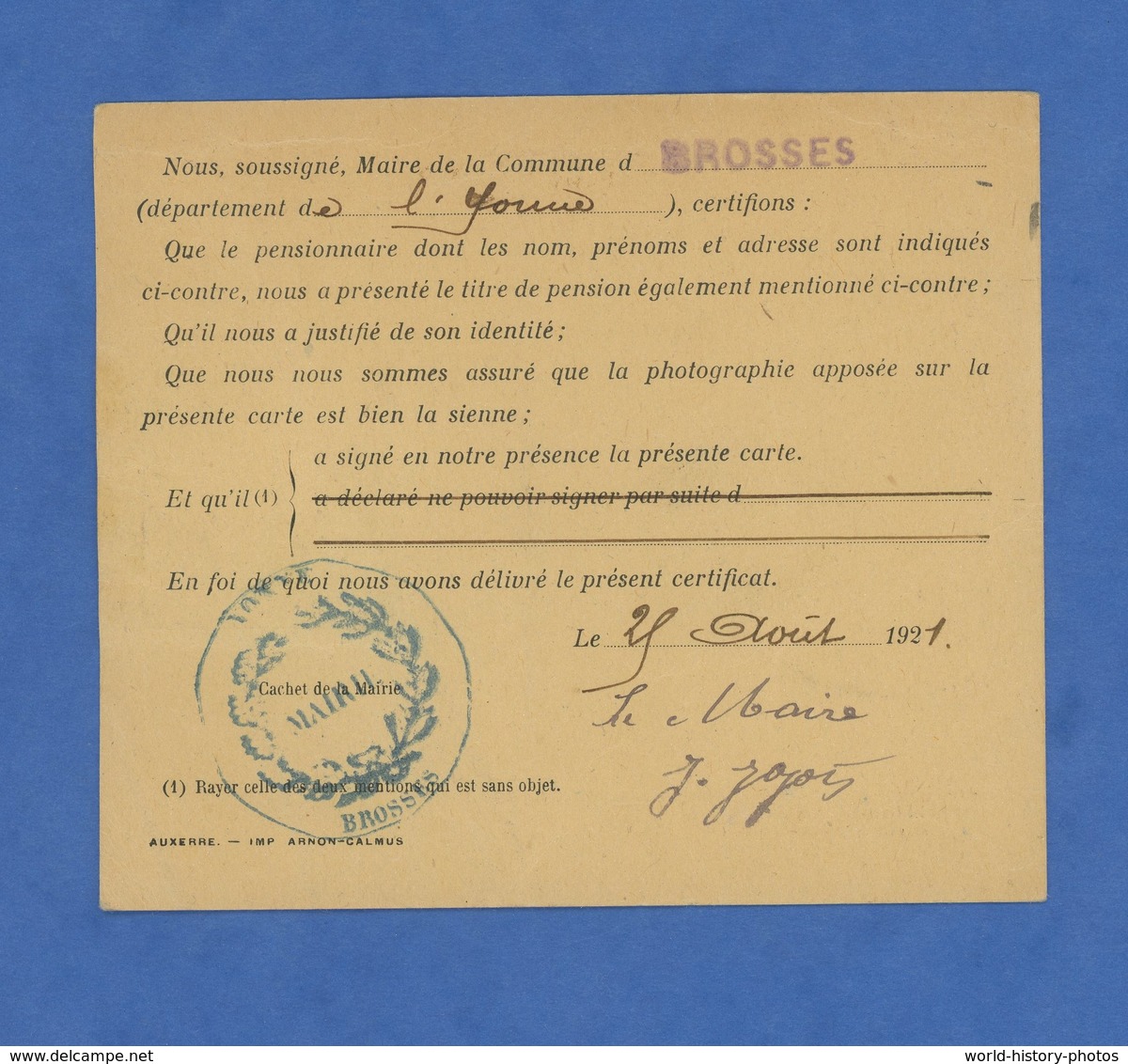 Document Ancien / Carte D' Identité Avec Photo - Mairie De BROSSES ( Yonne )- Pierre Victor MOLLION  - Pension Militaire - Documents Historiques