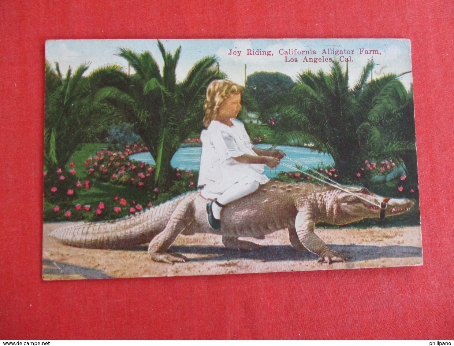 Young Girl Joy Riding On A Alligator Los Angeles CA>  Ref 2935 - Other & Unclassified