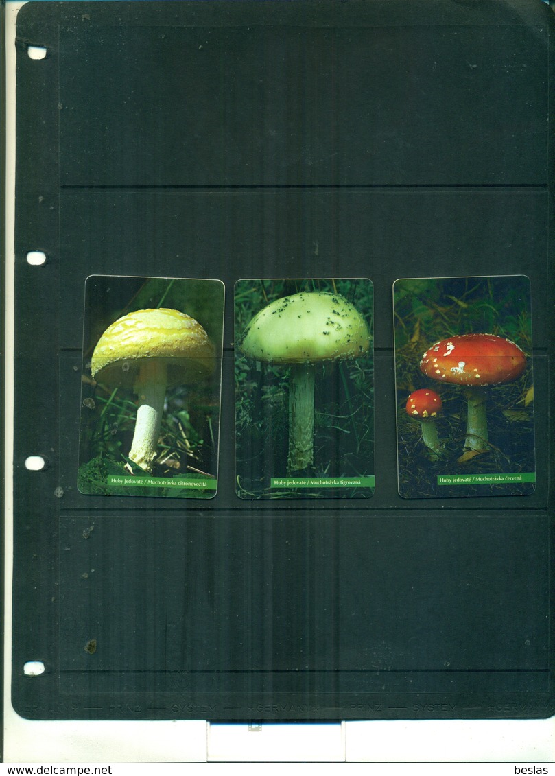 SLOVENIA CHAMPIGNONS 3 CARTES TELEPHONIQUES  USED A PARTIR DE 1 EUROS - Other & Unclassified