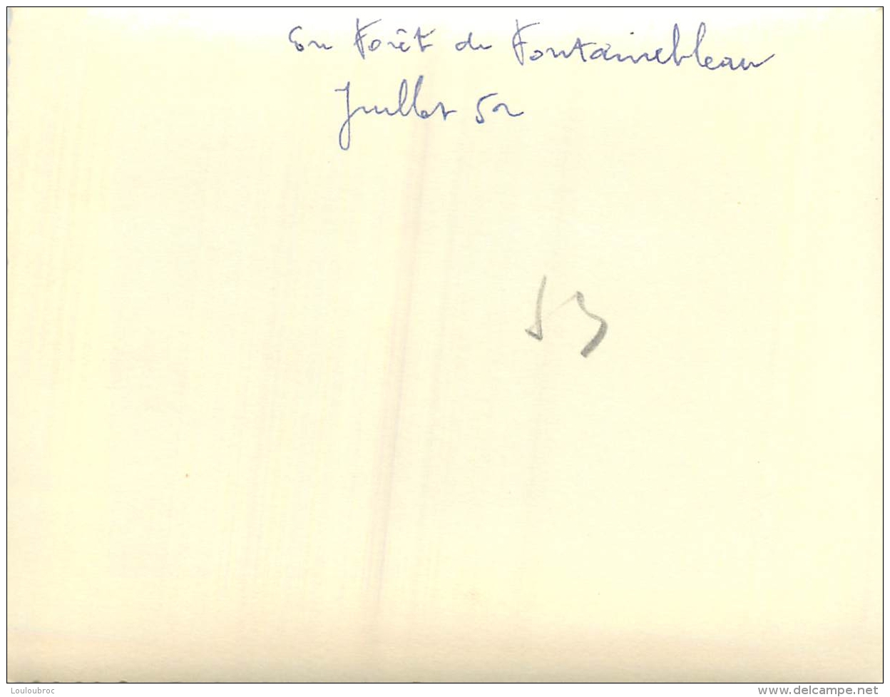 PHOTO ORIGINALE  FORET DE FONTAINEBLEAU 1952   FORMAT  10.50 X 8 CM - Lieux