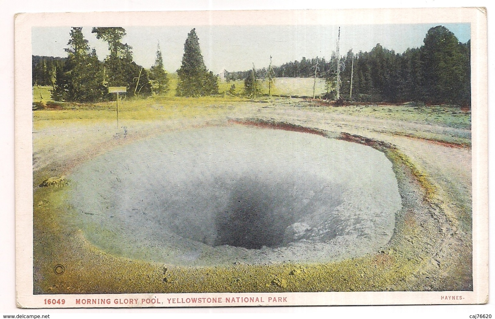 Morning Glory Poll , Yellowstone National Park - Yellowstone