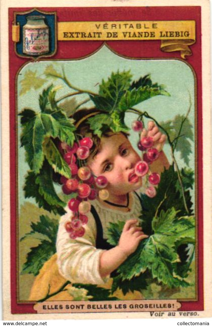 0174 Fruits Et Têtes D'enfants - LIEBIG Nr 174 Complete Set Rare,  6 Litho Chromo Cards, C1875, Children Heads - Liebig