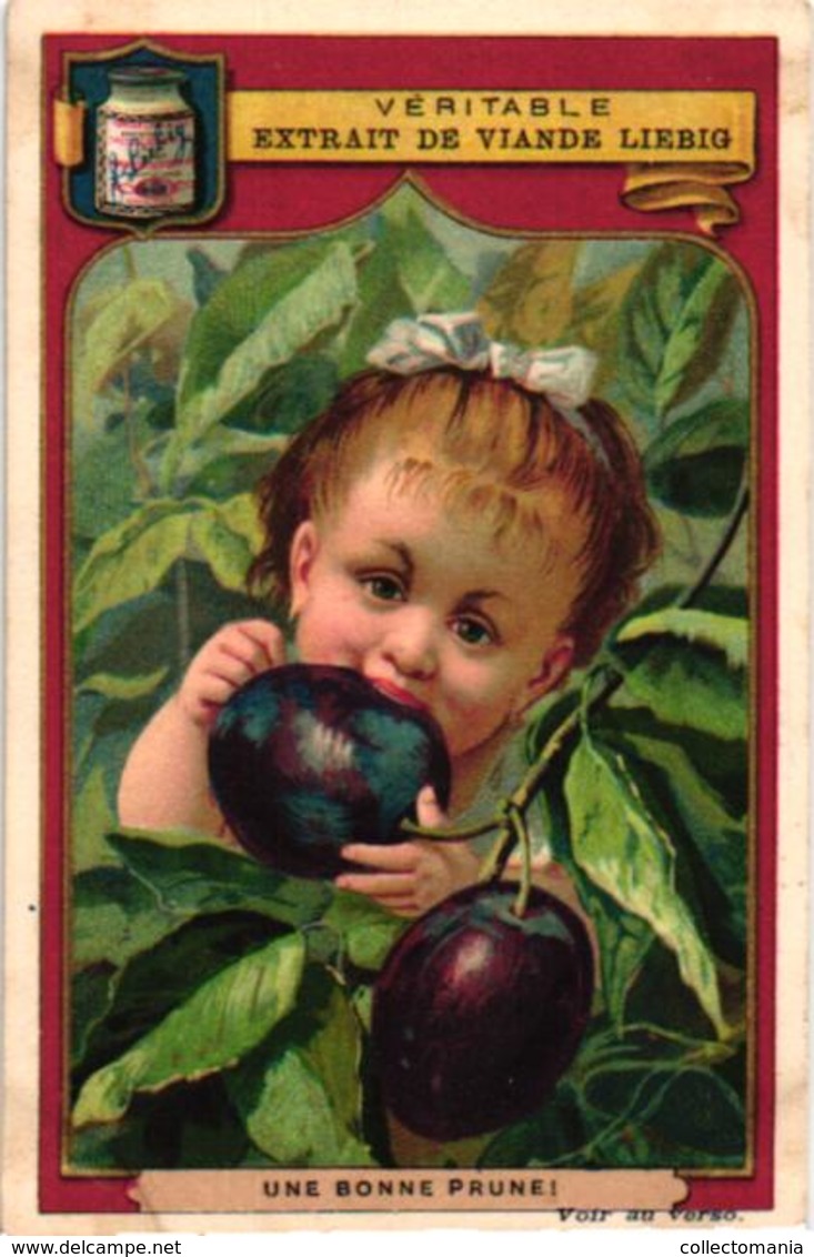 0174 Fruits et têtes d'enfants - LIEBIG nr 174 complete set Rare,  6 litho chromo cards, c1875, children heads