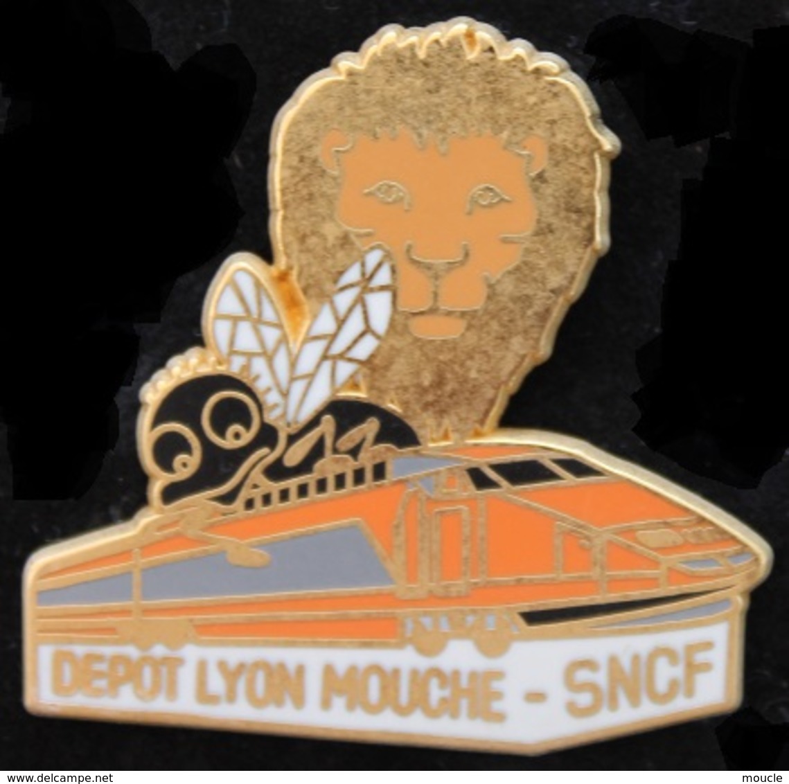 TGV ORANGE - LOCOMOTIVE - LION - MOUCHE - LYON - DEPÔT - SNCF - BALLARD -                (ROSE) - TGV