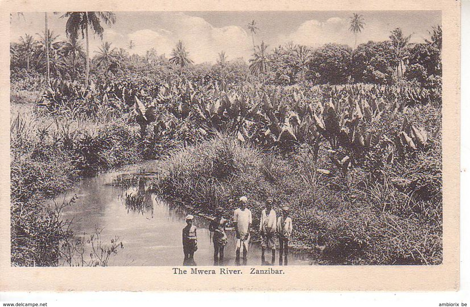 The Mwera River.  Zanzibar - Tanzanie