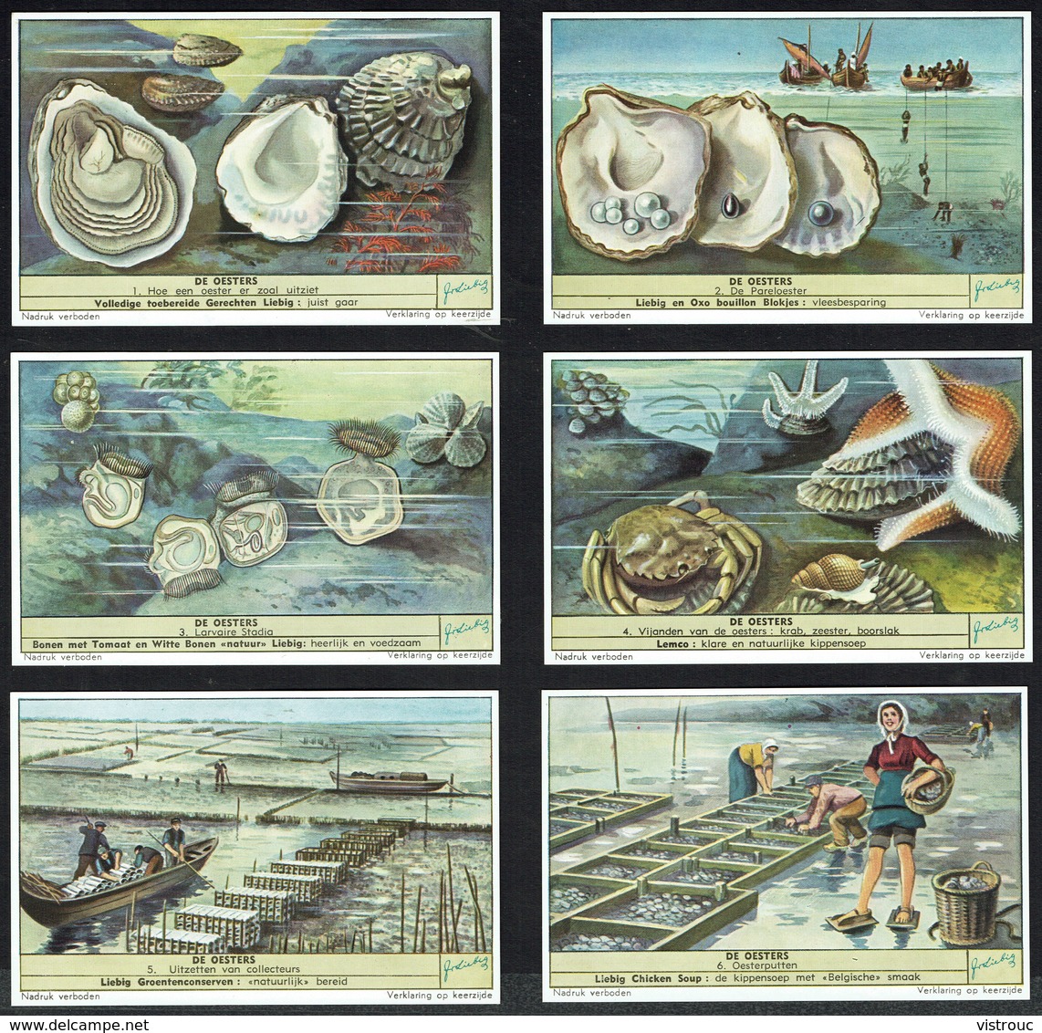 LIEBIG  - NL -  6 Chromos N° 1 à 6 -  Reeks/série S.1596 - De Oesters - Les Huîtres. - Liebig