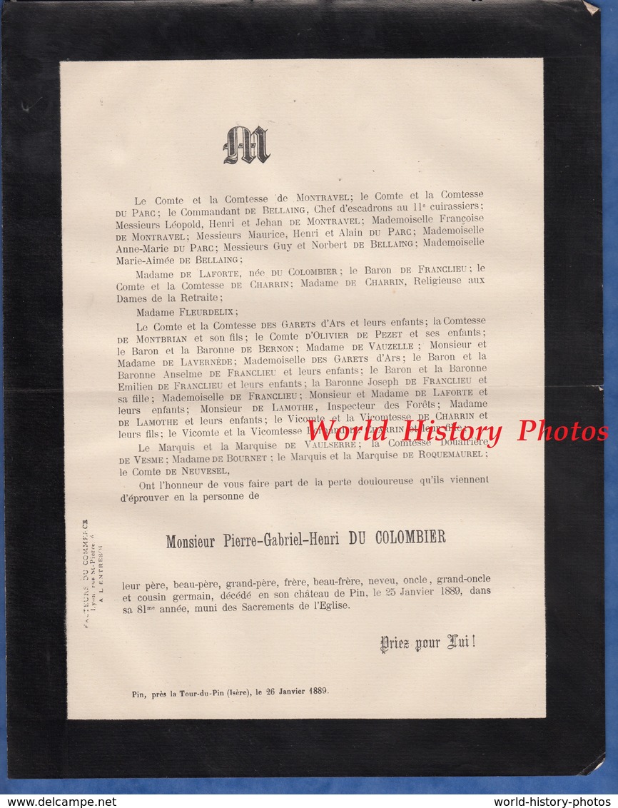 Document De 1889 - LA TOUR Du PIN ( Isère ) Château Du Pin - Monsieur Pierre Gabriel Henri DU COLOMBIER - Documents Historiques