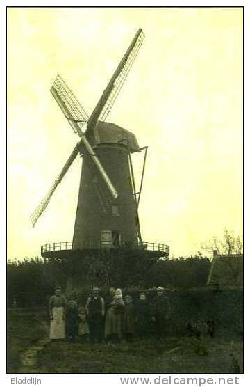 HALLE Bij Zoersel (Prov. Antw.) Molen/moulin - Oude Opname Van De Verdwenen Molen Raeymaekers Tijdens 1914-1918 - Zoersel