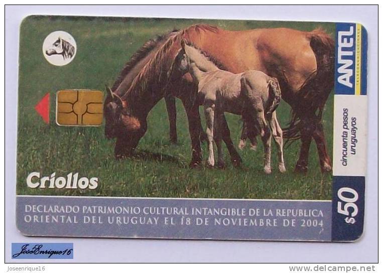 TC 385a URUGUAY. CABALLOS CRIOLLOS, PATRIMONIO CULTURAL. Creole Horses, CULTURAL HERITAGE.chevaux Créoles, Patrimoine Cu - Uruguay