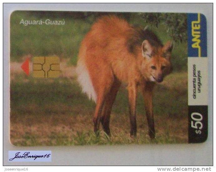 TC 250a ZORRO AGUARA GUAZU. CHRYSOCYON BRACHYURUS. URUGUAY, ANTEL. FOX - Uruguay