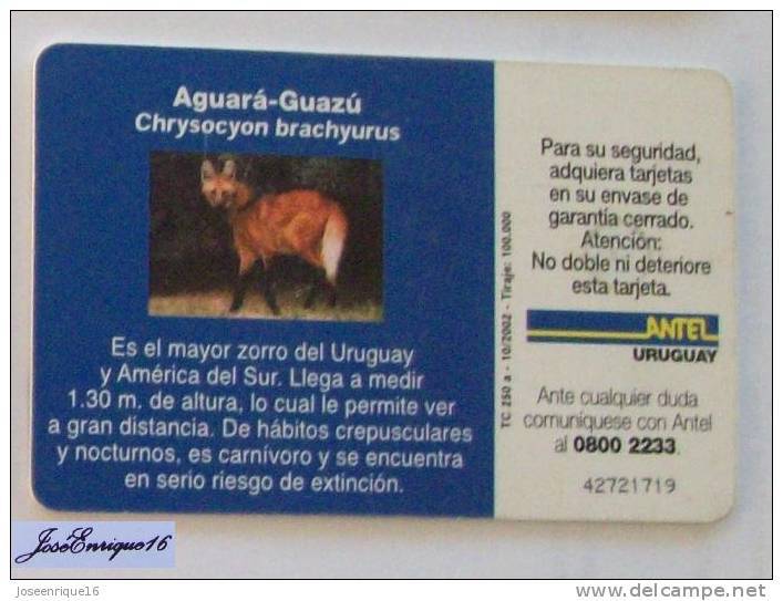 TC 250a ZORRO AGUARA GUAZU. CHRYSOCYON BRACHYURUS. URUGUAY, ANTEL. FOX - Uruguay