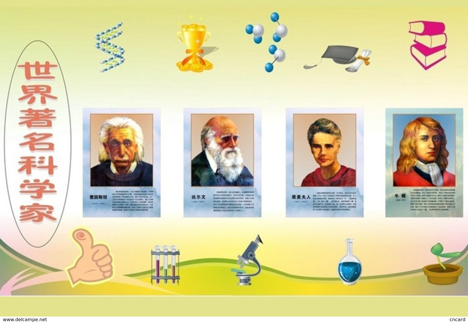 [T31-052 ]  Charles  Darwin Albert Einstein  Isaac Newton Marie Curie ,  Pre-stamped Card - Other & Unclassified