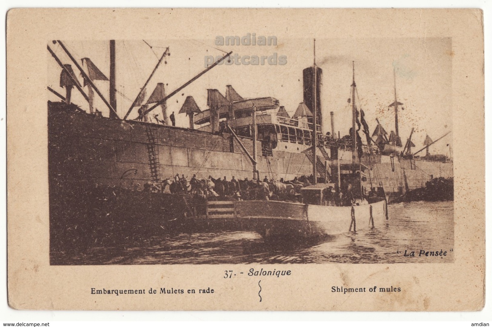 Greece Salonica, Loading Shipment Of Mules In The Harbor 1910s Vintage Thessaloniki Salonique Postcard - Greece