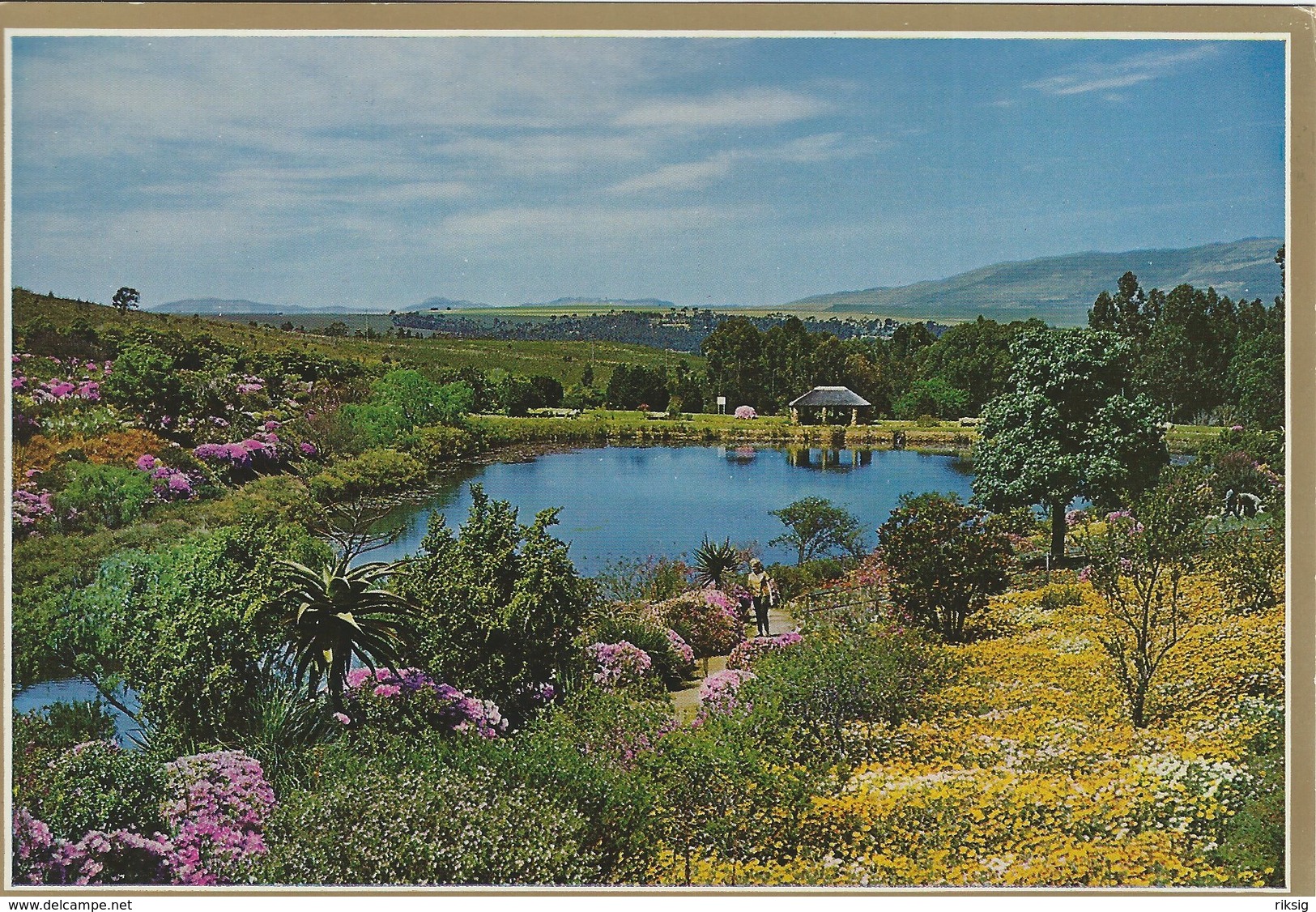 General View Of Caledon Gardens. Cape.  H-1343 - South Africa