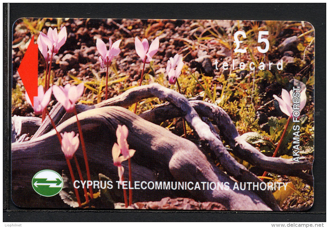 CHYPRE CYPRUS, FLEURS DE FORET / RACINES , Telecard &pound;5 / Telephone Card /  Utilisée / Used. Rcypfleurs - Blumen