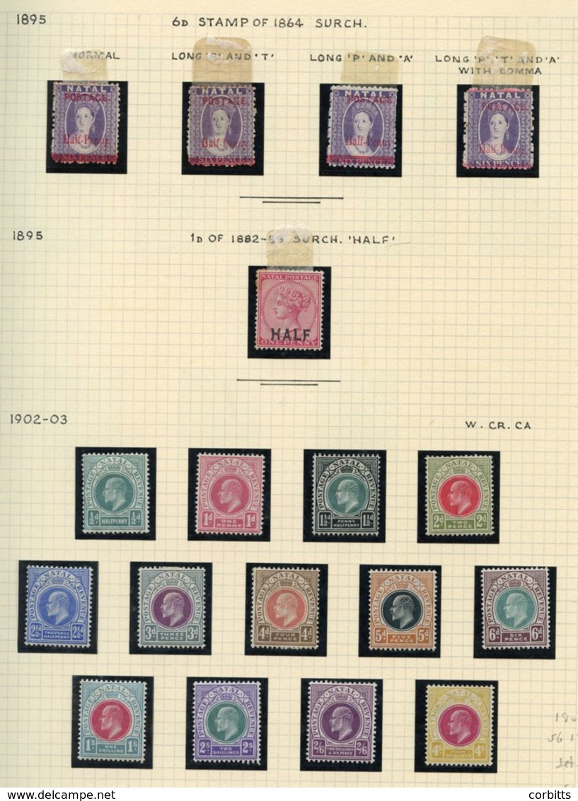 BRITISH AFRICA Collection Of M & U In A Multi Ring Album With C.O.G.H Ranges Of Seated Hope Incl. 1884-90 Set FU, Variou - Sonstige & Ohne Zuordnung