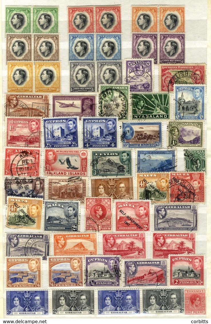 BRITISH COMMONWEALTH KGVI M & U Range Of Singles Housed In A Stock Book, Odd 1949 UPU Set, 1937 Coronation Etc. (100's) - Autres & Non Classés