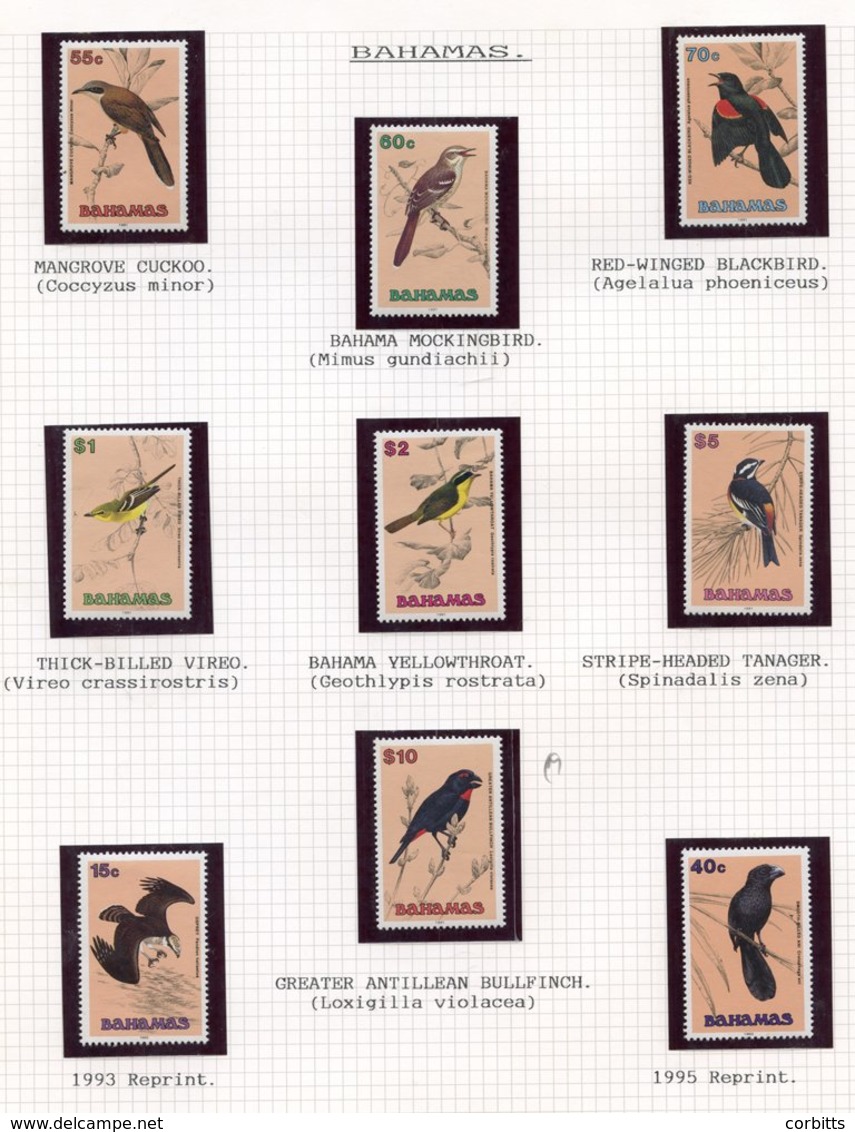 BIRDS Extensive A-Z World Collection Of M Or UM Housed In Black Mounts In Ten Prestige Albums. Excellent Basis For Expan - Autres & Non Classés