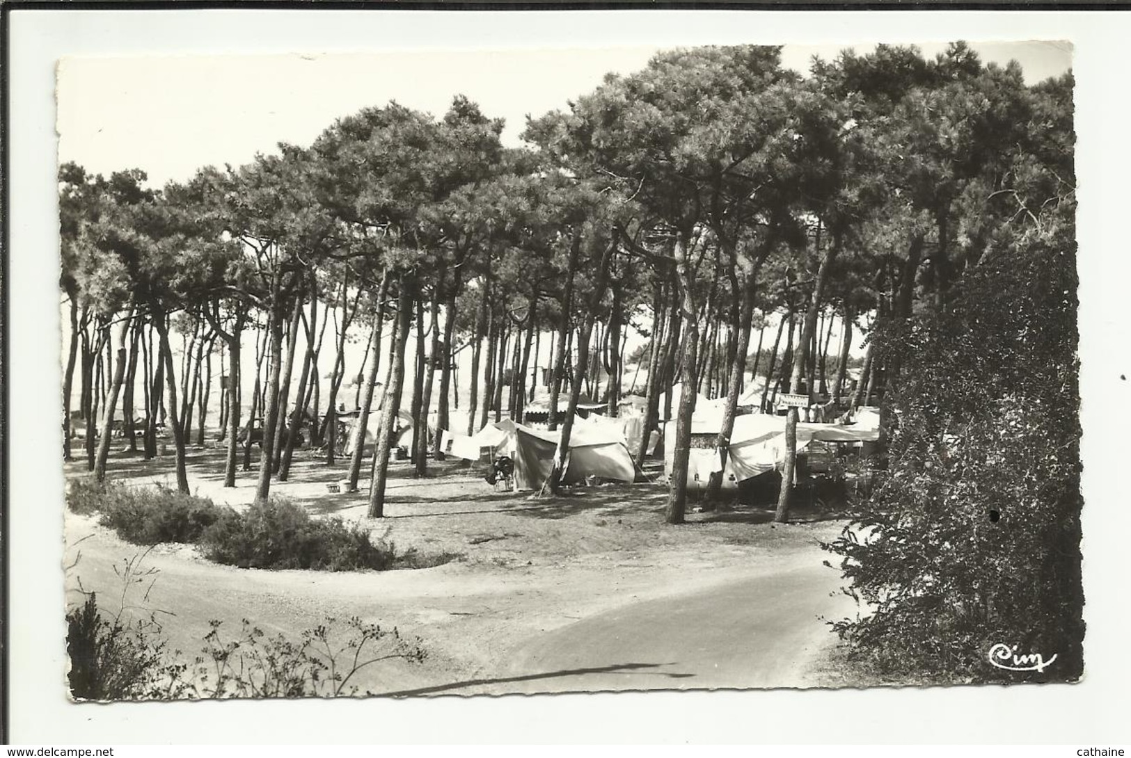 17 . ILE D OLERON . SAINT DENIS D OLERON .  LE CAMPING - Ile De Ré