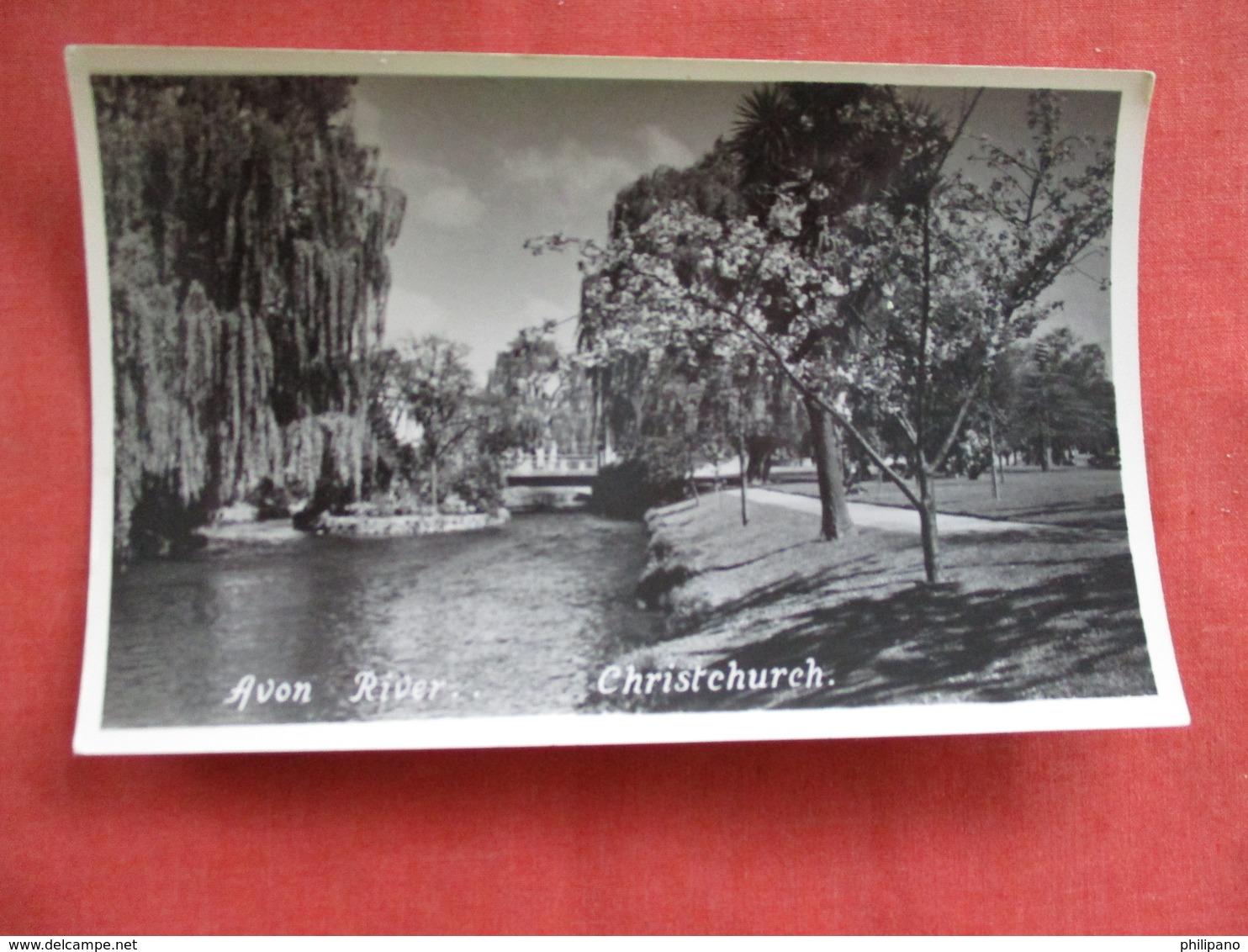 Avon River Christchurch  New Zealand ---------Postcard Size  Blank Back Photo-------  Ref 2916 - New Zealand