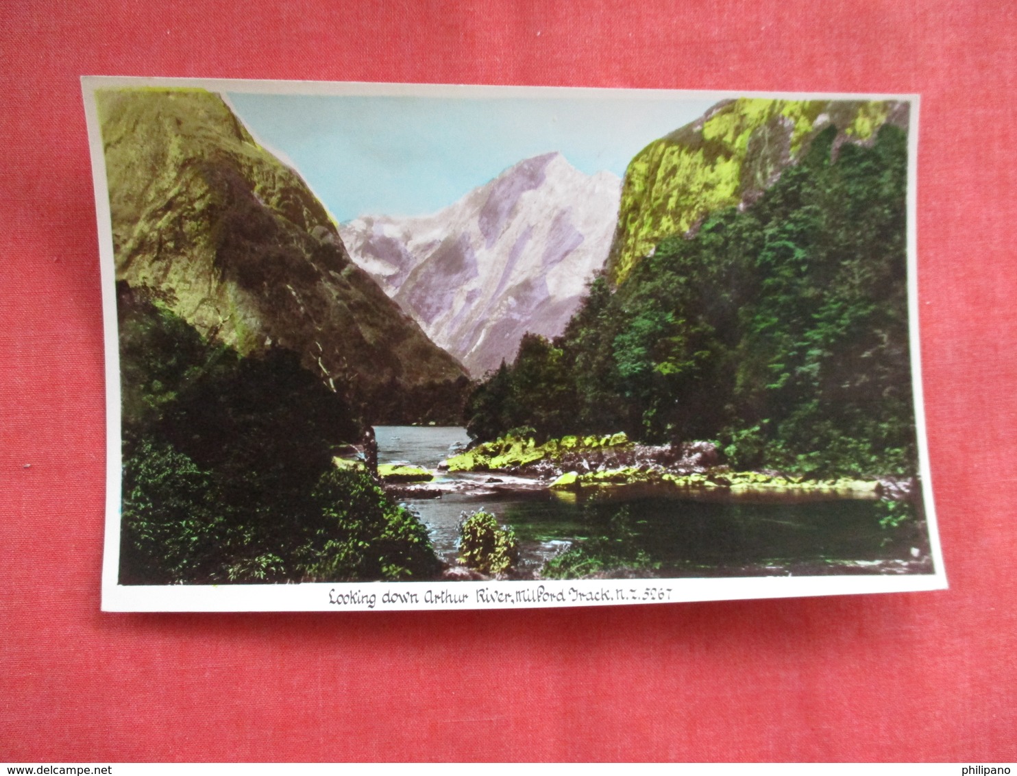 Milford Track New Zealand ---------Postcard Size  Blank Back Photo-------  Ref 2916 - New Zealand