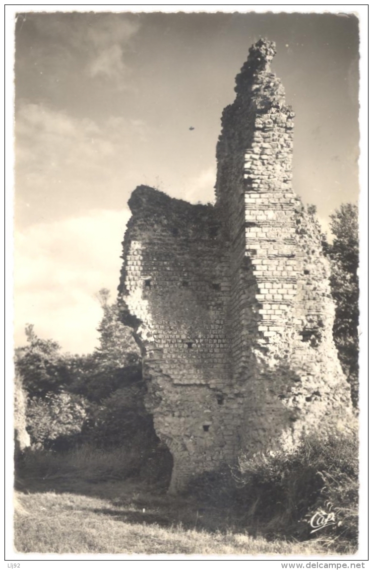 CPSM PF 50 - 1506. VALOGNES - Ruines Gallo-romaines - Valognes
