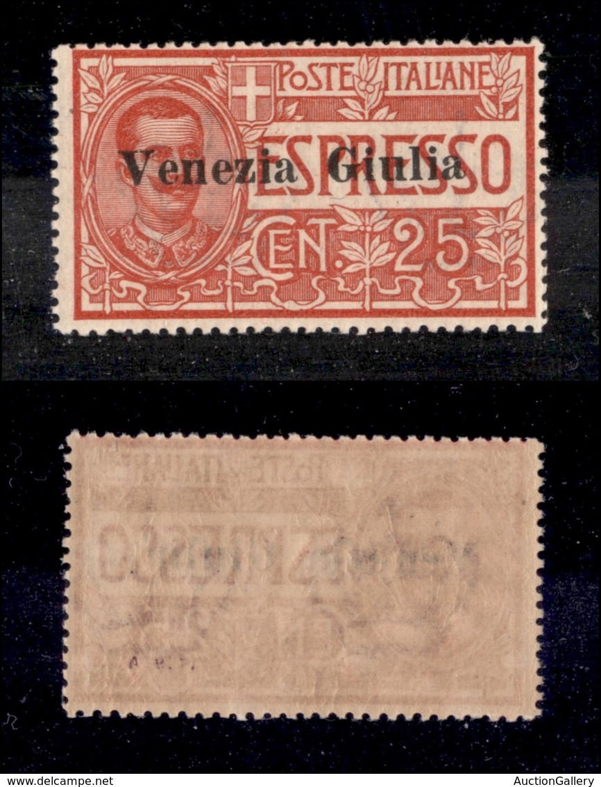 0361 OCCUPAZIONI - VENEZIA GIULIA - 1919 - 25 Cent (1 - Espressi) - Gomma Integra (550) - Other & Unclassified