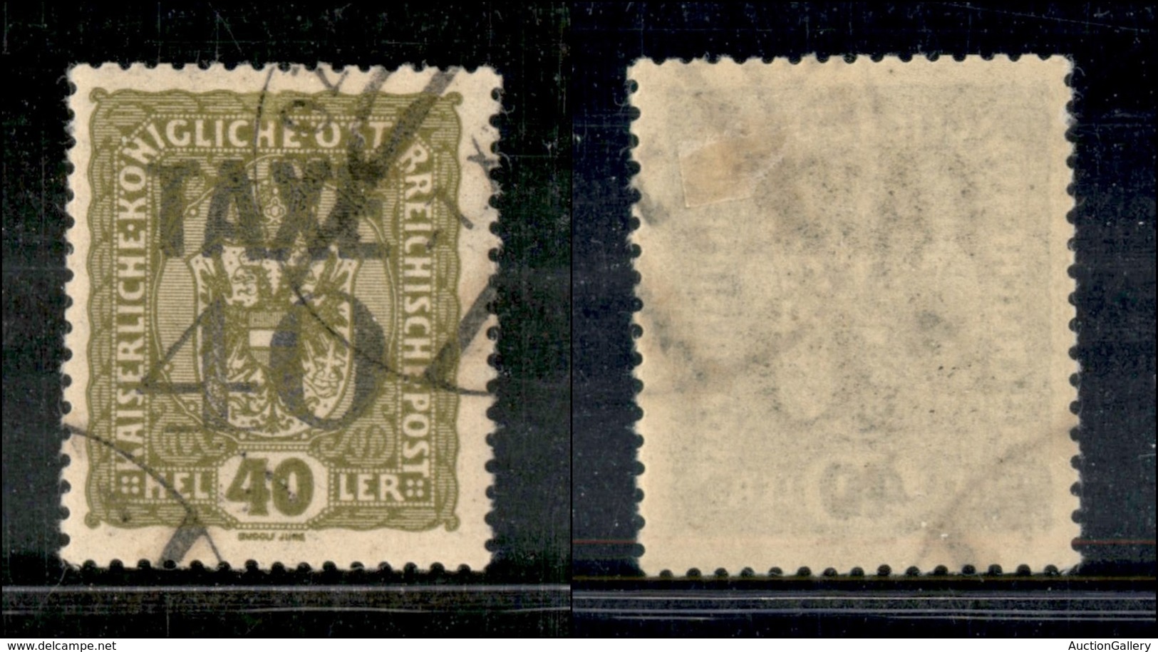 1632 OCCUPAZIONI - TRENTINO - 1918/1919 - Bolzano 3 - Taxe 40 Su 40 Heller (72) - Usato (250) - Other & Unclassified