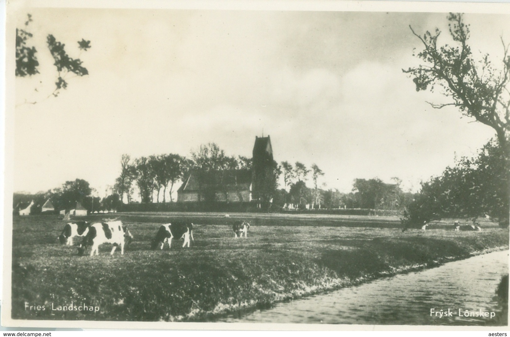 Frysk Lânskip / Fries Landschap - Niet Gelopen. (Roukes & Erhart - Baarn) - Autres & Non Classés