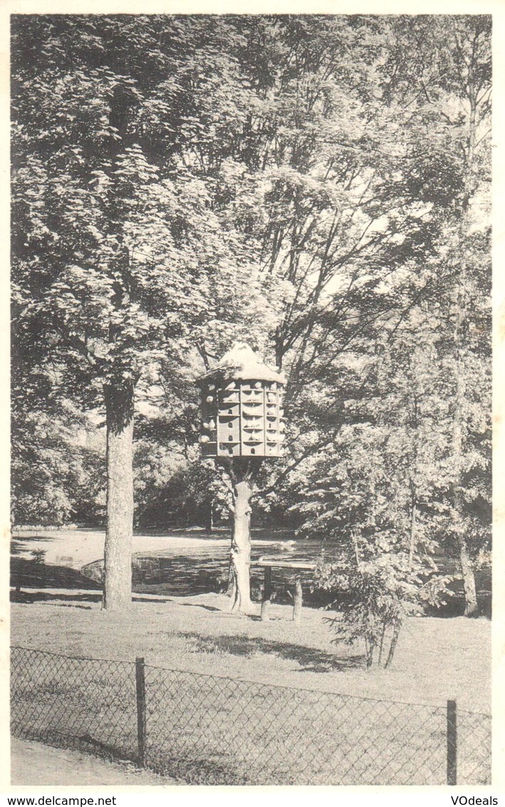 Bruxelles - CPA - Brussel - Parc Josaphat - Bossen, Parken, Tuinen