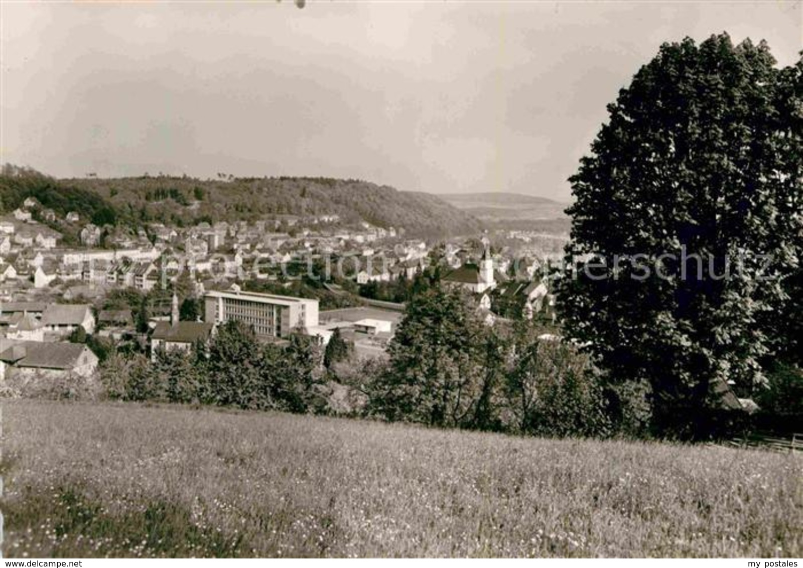 42808958 Waldshut-Tiengen Panorama Waldshut Tiengen - Waldshut-Tiengen